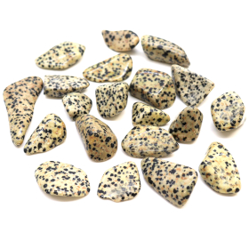 24x L Tumble Stones - Dalmatian Jasper L