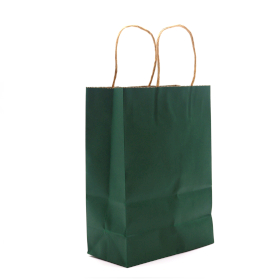 12x Cord Handle Paper Bag (16x22x8cm) - Green (130g)