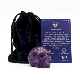 Gemstone Lrg Skull - Amethyst- 50x40x30mm