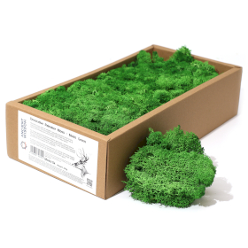 Quality Decoration Reindeer Moss - Moss Green -  635g Box