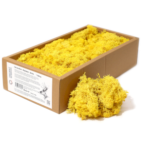 Quality Decoration Reindeer Moss - Yellow - 635g Box