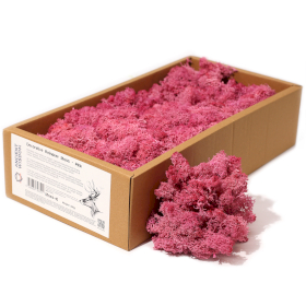 Quality Decoration Reindeer Moss - Pink - 635g Box