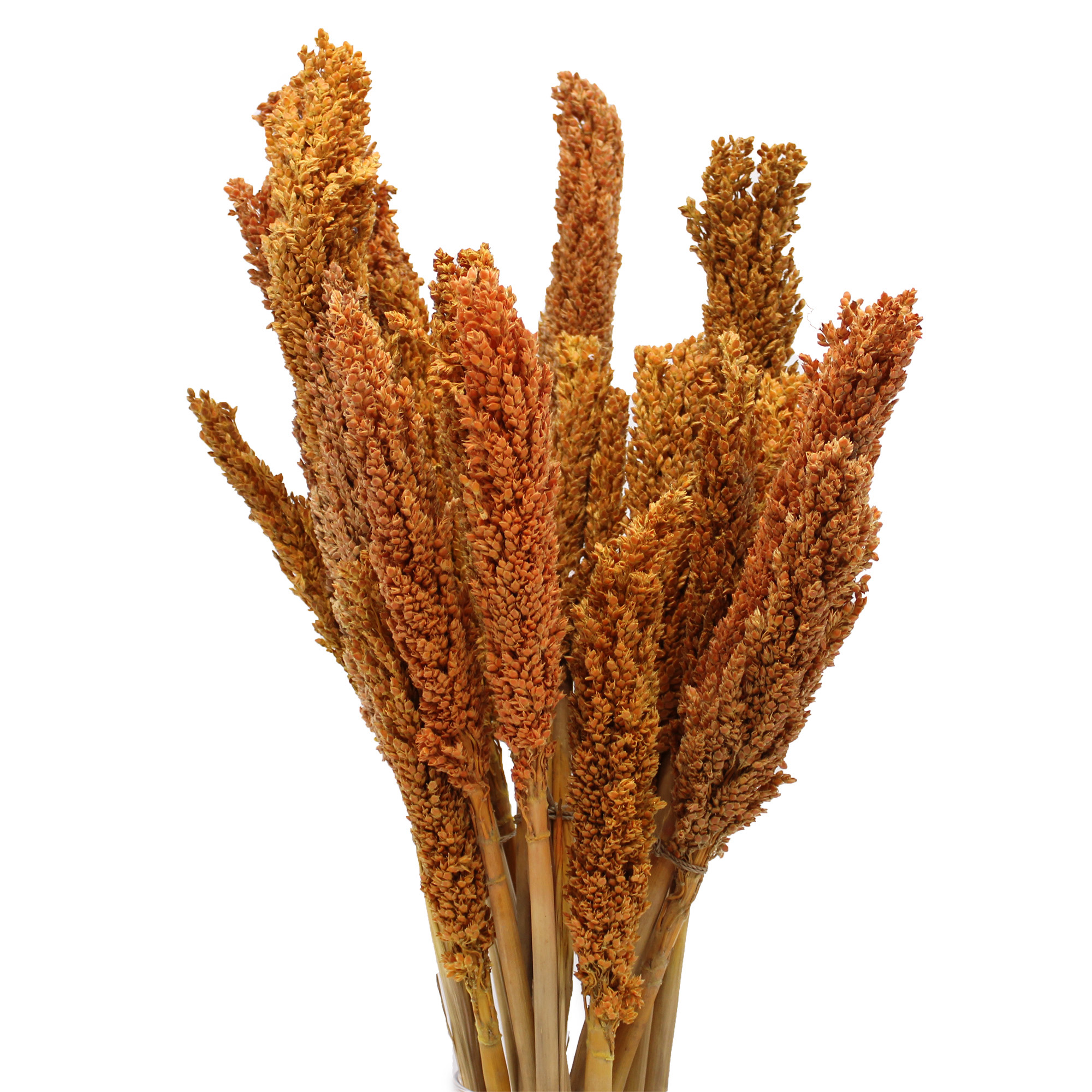 Wholesale Grass Bunch Decoration