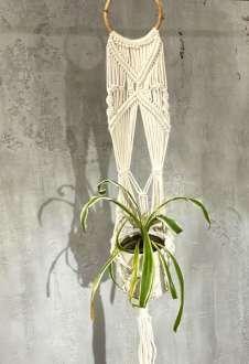 Macrame Pot Holder - Long With Rattan Hoop